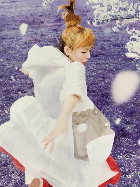 aiko『夢見る隙間』告知用B2ポスター(非売品) Amazon.co.jp: aiko B2 告知 ポスター 夢見る隙間 : 文房具
